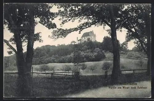 AK Mindelheim, Partie am Wege zum Schloss