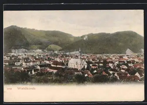 AK Waldkirch / Breisgau, Teilansicht mit Kirche