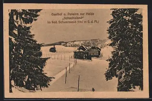 AK Kirchzarten im bad. Schwarzwald, Gasthof u. Pension zur Halde Schauinsland im Schnee