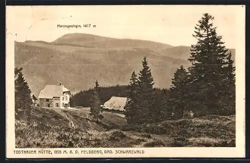 AK Feldberg /Bad. Schwarzwald, Todtnauer Hütte mit Herzogenhorn