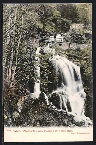 AK Fahler Wasserfall am Fusse des Feldbergs im bad. Schwarzwald