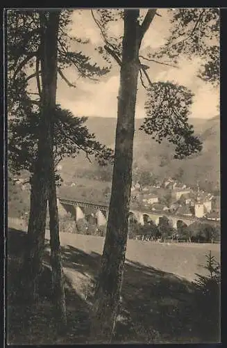 AK Ludwigsstadt, Ortspartie von Süden