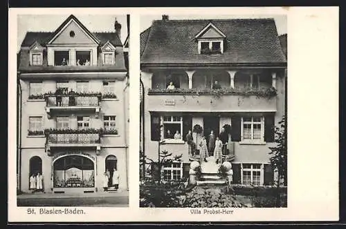AK St. Blasien-Baden, Delikatessengeschäft von Alois Herr, Villa Probst-Herr
