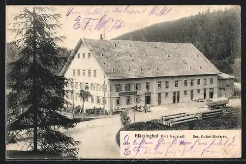 AK Neustadt / Schwarzwald, Hotel Blässinghof von Anton Binderer