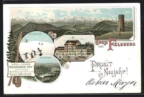 Lithographie Feldberg / Schwarzwald, Hotel und Pension Feldberger Hof, Panorama