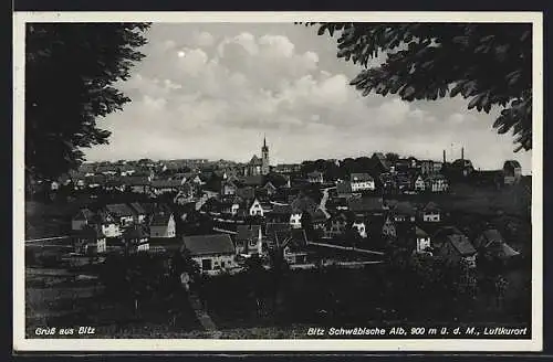 AK Bitz / Württ., Ortsansicht mit Umland