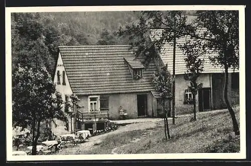 AK Sienhachenbach, Gasthaus Forsthaus Antestal