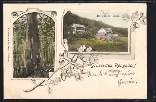 AK Rengsdorf, Im kühlen Grund, alter Baum im Wald