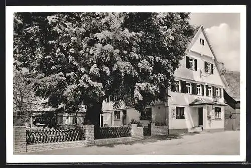 AK Schöllhütte, Gasthaus und Pension zum Löwen