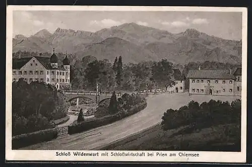 Künstler-AK sign. Hans Pernat: Prien am Chiemsee, Schloss Wildenwart mit Gasthaus Schlosswirtschaft aus der Vogelschau