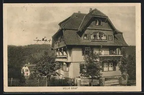 AK Freudenstadt /Schwarzwald, Hotel Villa Graf mit Nachbarhaus