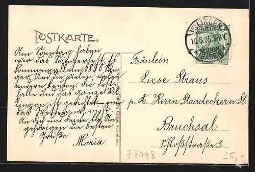 Lithographie Villingen / Baden, Festhalle, Garten, Wappen