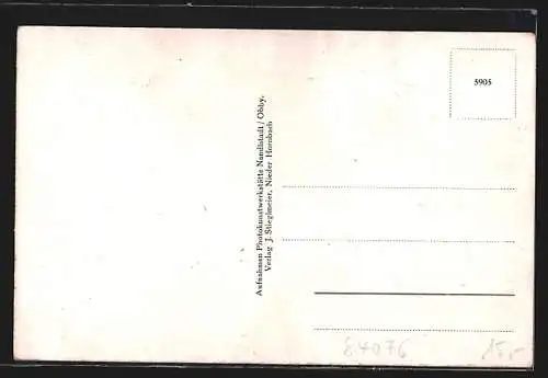 AK Niederhornbach, Gemischtwarenhandlung Stieglmeier, Schloss, Ortsansicht