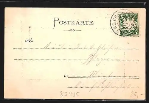 AK Reichenhall, Villa Continental, Ortsansicht aus der Vogelschau