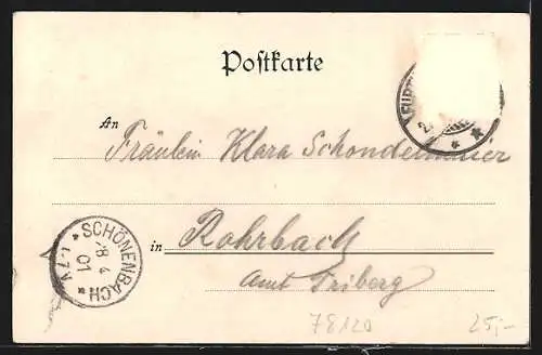 AK Furtwangen i. Bad. Schw., Gasthaus zur Linde, Adolf Eble, Besitzer des Colosseums, Ortsansicht