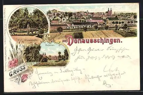 Lithographie Donaueschingen, Schloss, Donauquelle und Ortsausblick