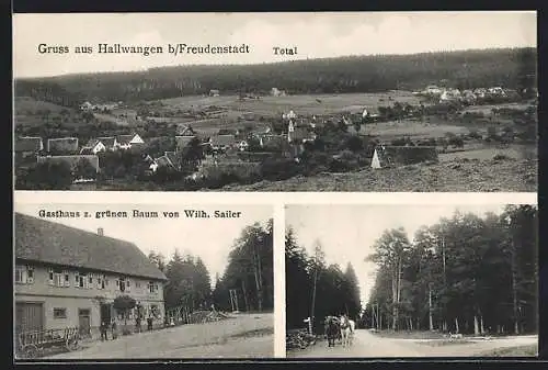 AK Hallwangen b. Freudenstadt, Gasthaus z. grünen Baum, Strassenpartie mit Kutsche