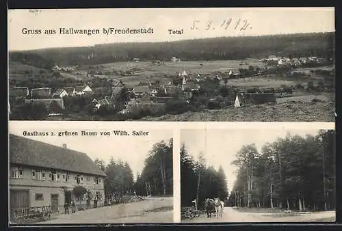 AK Hallwangen b. Freudenstadt, Gasthaus z. grünen Baum, Strassenpartie