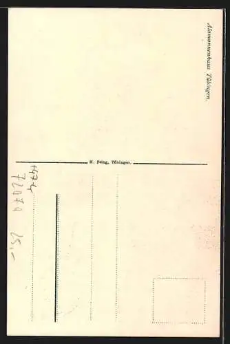 AK Tübingen, Am Verbindungshaus Alamannenhaus, Studentenwappen