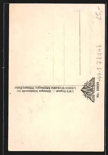AK Villingen / Baden, Absolvia Abitur 1927, Studenten flehen um den Abschluss
