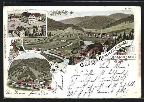 Lithographie Hammereisenbach, Gasthof zum Hammer, Blick zum Ort, Bregenbach, Totale des Ortes, Reh