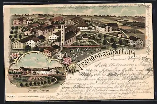 Lithographie Frauenneuharting, Brauerei Stacher, Ortsansicht aus der Vogelschau