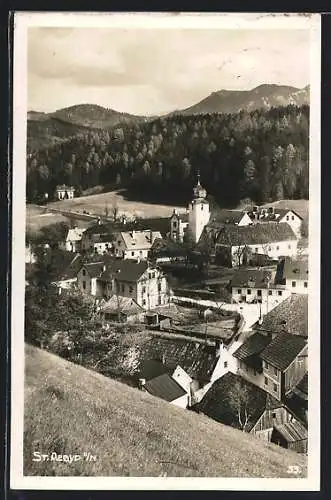 AK St. Aegyd a. N., Ortsansicht mit Kirche
