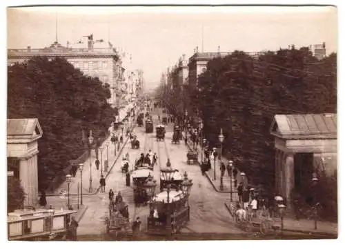 Fotografie F. Albert, Berlin, Ansicht Berlin, Blick in die Leipziger Strasse mit Pferdebahn, Trockenstempel