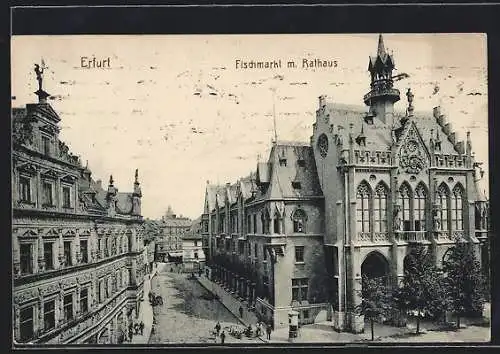 AK Erfurt, Fischmarkt und Rathaus