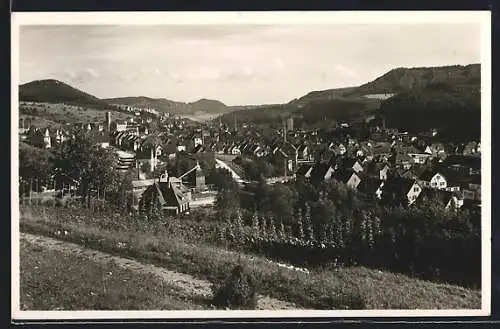 AK Tailfingen / Balingen, Ortsansicht von einem Weinberg fotografiert