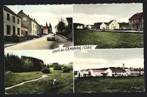 AK Arzfeld /Eifel, Strassenpartie mit Autos, Weide mit Kühen