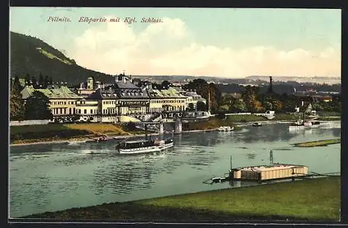 AK Dresden-Pillnitz, Elbpartie mit königliches Schloss