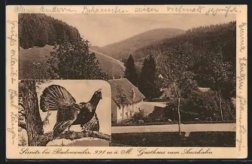 AK Sirnitz, Gasthaus zum Auerhuhn, Auerhahn