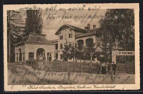 AK Bad Sauerbrunn /Burgenland, Quelle und Wasserheilanstalt