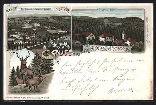 Lithographie Graz, Mariagrün, St. Leonhard und das Sanatorium, Hirsche auf der Lichtung