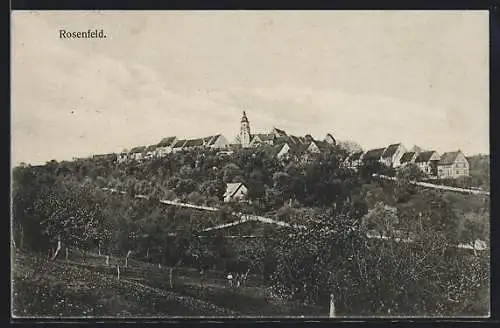 AK Rosenfeld / Württ., Panoramablick auf den Ort