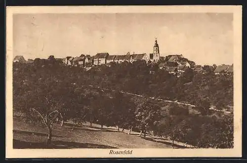 AK Rosenfeld / Württ., Ortsansicht im Sonnenschein