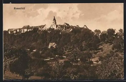 AK Rosenfeld / Württ., Teilansicht mit Kirchturm