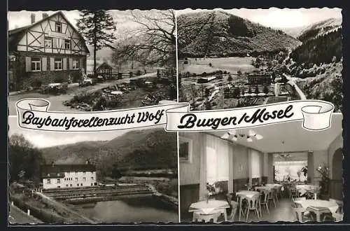 AK Burg / Mosel, Gasthaus Baybachforellenzucht Wolf