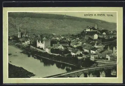 AK Bingen am Rhein, Totalansicht mit Brücke