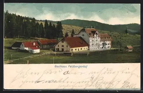 AK Feldberg /Schwarzwald, Gasthaus Feldbergerhof