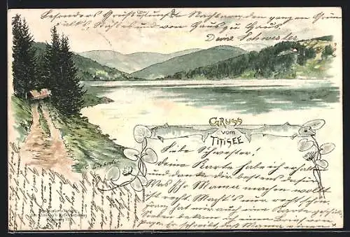 Lithographie Titisee, Ortsansicht