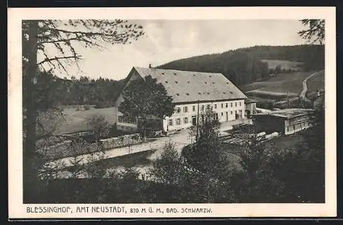 AK Neustadt /Bad. Schwarzw., Hotel Blessinghof