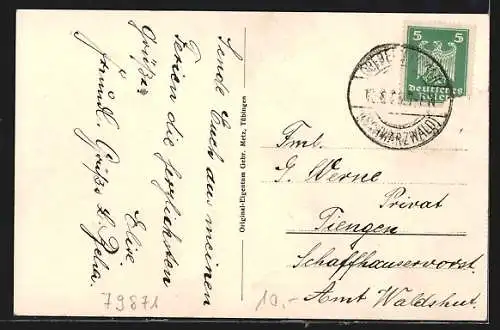 AK Eisenbach (bad. Schwarzwald), Gesamtansicht aus der Vogelschau