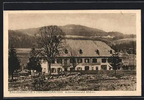 AK Erlenbruck b. Hinterzarten, Gasthof und Pension Erlenbruch