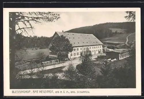 AK Neustadt / Schwarzwald, Blessinghof mit Umgebung aus der Vogelschau