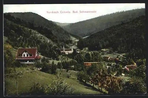 AK Nordrach Colonie /Bad. Schwarzwald, Ortsansicht im Wald