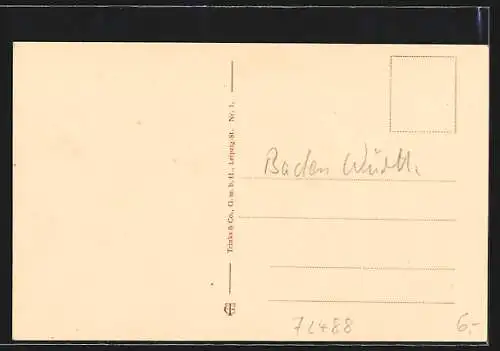 AK Sigmaringen, Schloss mit Park und Denkmal