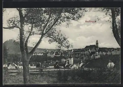 AK Hechingen, Ortsansicht mit Burg im Hintergrund