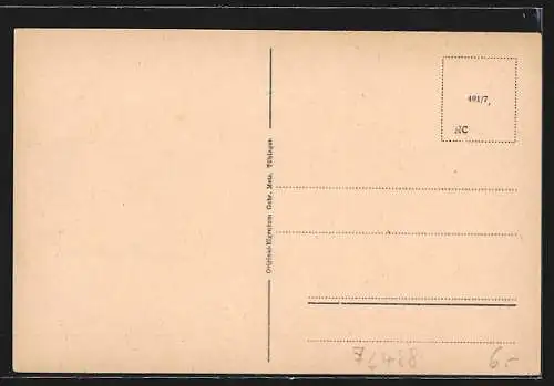 AK Sigmaringen, Ortsansicht mit Flusspartie